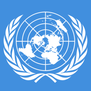 Auch die Vereinten Nationen kümmern sich um Menschenrechte und stellen spezielle Beschwerdeverfahren zur Verfügung.